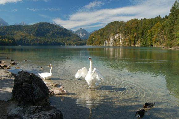 Alpsee