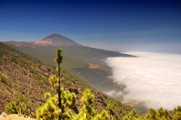 Blick auf den Teide