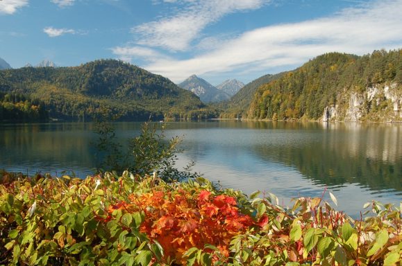 Alpsee