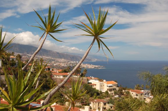 Blick auf Puerto de la Cruz