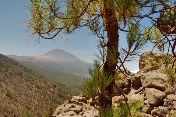 Im Teide Nationalpark