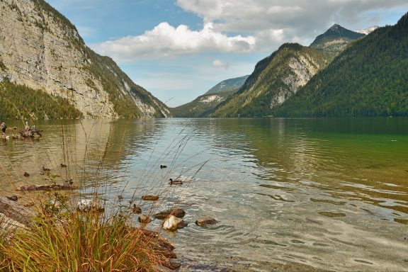 Königsee